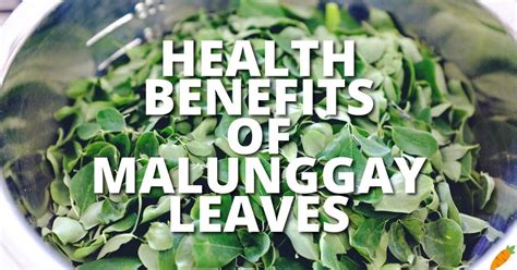 olifer malunggay capsule benefits|A Complete List of the Health Benefits of Malunggay.